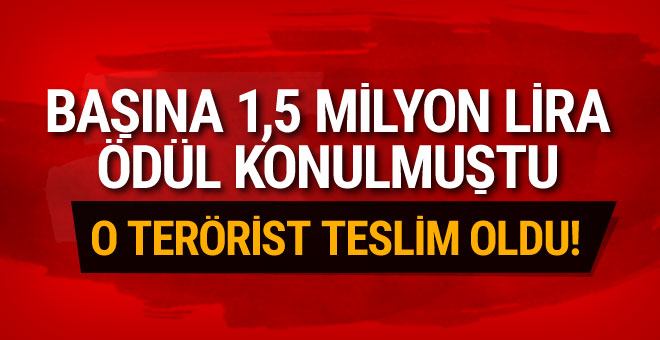 1.5 milyon lira ödülle aranan terörist teslim oldu!