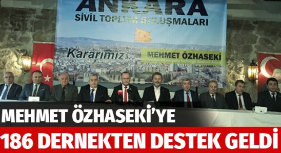 Hizmet için 186 dernek daha Özhaseki dedi