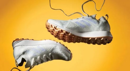 Adidas, Okyanuslardaki Atık Plastikten Ayakkabı Üretti