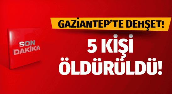 Gaziantep'te son dakika damat korkuyu! 5 bireyi öldürdü