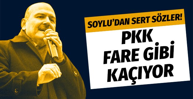 İçişleri Bakanı Süleyman Soylu: 'PKK fare gibi kaçıyor'
