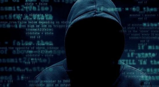 20 Yaşındaki ‘İllüzyonist’ Lakaplı Hackerın Bir Ülkeyi Karıştırdığı Hack Skandalı