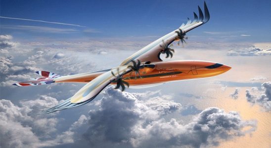 Kuşlardan Esin Alınarak Planlanan Model Uçak: Yırtıcı Kuş