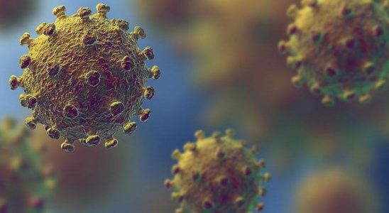 ABD’li Uzman: Yeni Mutasyon, Koronavirüsün Bulaşıcılığını Artırmış Olabilir