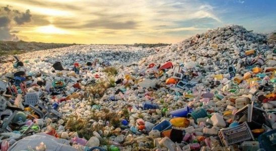 Türkiye, Avrupa'dan En Çok Plastik Atık Alan Ülke Oldu