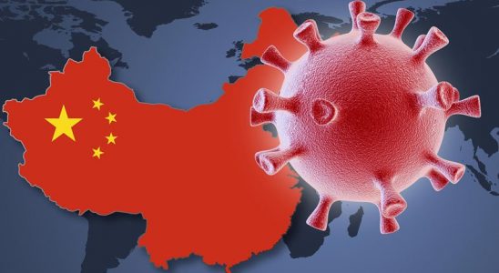 Çin Hükümetinden Wuhan'da Araştırma Yapmak İsteyen DSÖ'ye: Siyasi Çabaları Bırakın