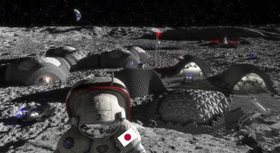 Dünya'ya Vedanın Sinyalleri: Japonya, Ay'da Gıda Üretimini Araştırmaya Başlıyor